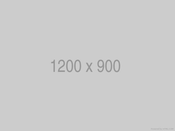 Fabric Sofa - immagine 4